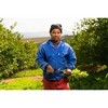 Felco High Performance One-Hand Garden Pruning Shears - 3 of 4