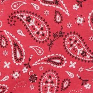 rodeo bandana - red