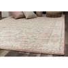 Rugs America Harper Pink Transitional Vintage Area Rug - 4 of 4