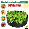 GOTGELIF Stylish 50-Gallon Breathable Felt Grow Bags Planter Perfect for Balcony Garden - 3 of 4