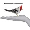 Old World Christmas Glass Blown Ornament for Christmas Tree, Red Crested Cardinal - 4 of 4