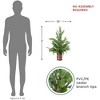 Northlight Real Touch™️ Potted Iced Cedar Artificial Christmas Tree - 24" - Unlit - 3 of 4