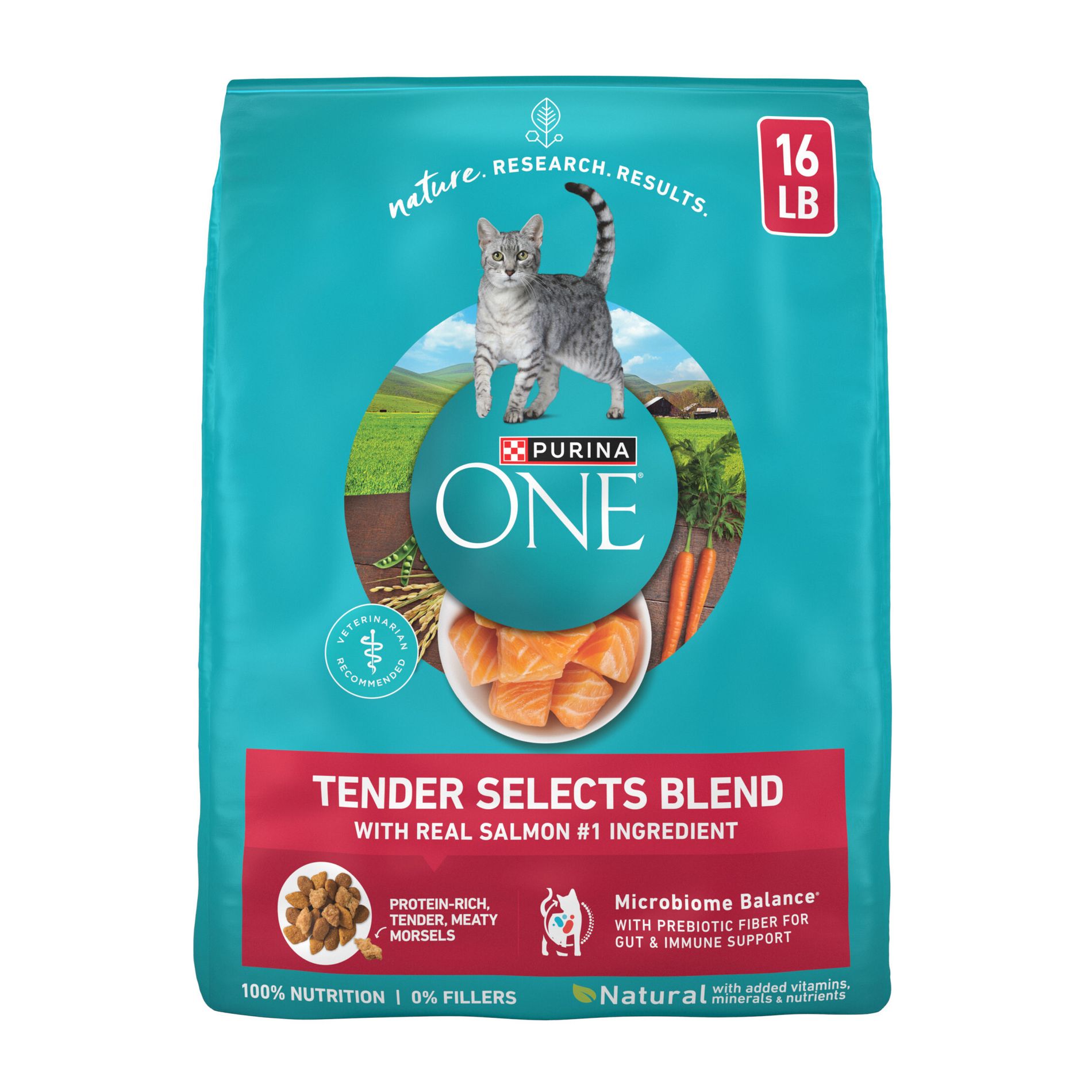 Purina ONE Tender Selects Blend Natural Real Salmon & Fish Flavor Dry Cat Food - 16lbs