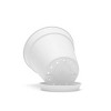 Mintra Garden Pots 4pk - 4 of 4