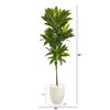 Nearly Natural 62-in Dracaena Artificial Plant in White Planter (Real Touch) - 2 of 3