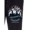 Harry Potter Men's I'D Rather Stay At Hogwarts This Christmas Pajama Pants Black - 3 of 3