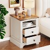 18" Vintage Nightstand wtih Charging Station, End Table Side Table with 2 Drawers for Bedroom, Living Room - 2 of 4