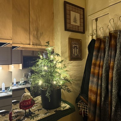 Guest review image 1 of 1, zoom in