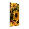 Stupell Industries Bunches of Garden Sunflowers Wall Plaque Art - 2 of 4