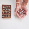 Storied Home 12-Piece Foam and Glass Mini Mirror Ball Ornaments with Bow, Silver Finish and Red, - 2 of 2