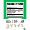 BulkSupplements Organic Bamboo Powder - 2 of 4