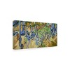 Trademark Fine Art -Van Gogh 'Tree Roots' Canvas Art - 4 of 4