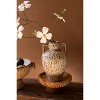 Rustic Decorative Ceramic Urn 10" Tall by Kalalou - 3 of 4