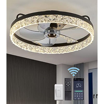 Siljoy 23.6" Black Ceiling Fan, Modern Retractable Ceiling Fan with Lights and Remote, 10-Light Glass Bubble Chandelier Fan