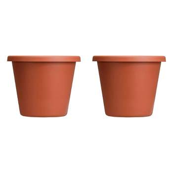 The HC Companies 12 Inch Classic Durable Plastic Flower Pot Container Garden Planter with Molded Rim and Drainage Holes, Terra Cotta (2 Pack)