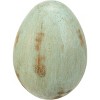 Primitives by Kathy Set Of Six Decorative Wooden Eggs - 4 of 4