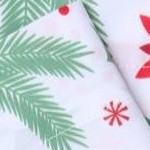 holly leaves