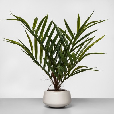 Photo 1 of 27" x 16" Artificial Potted Palm Green/White - Project 62™