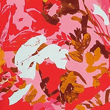 daylily red multi floral