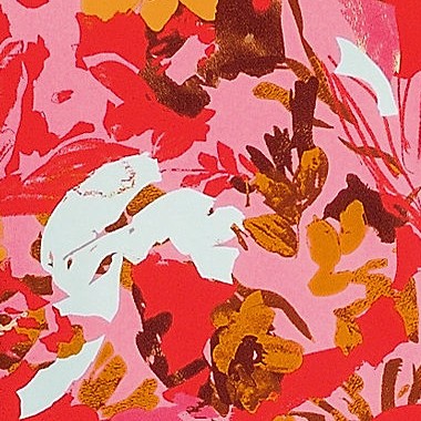 daylily red multi floral