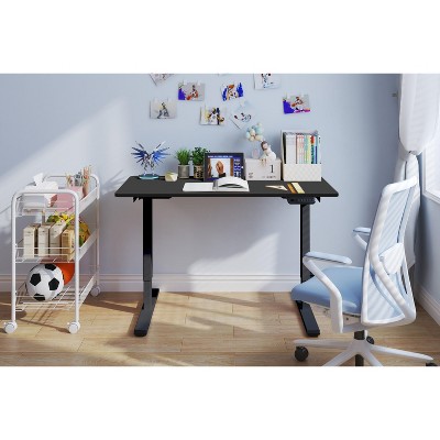 NicBex 47.24 Inch Electric Standing Desk,Dual Motor Adjustable Height Home Office Desk,Sit Stand up Desk for Bedroom,Living Study Room