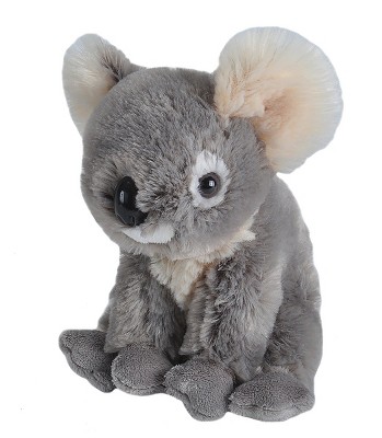 Plush classic exotic size M koala Jamin 27752 Trudi