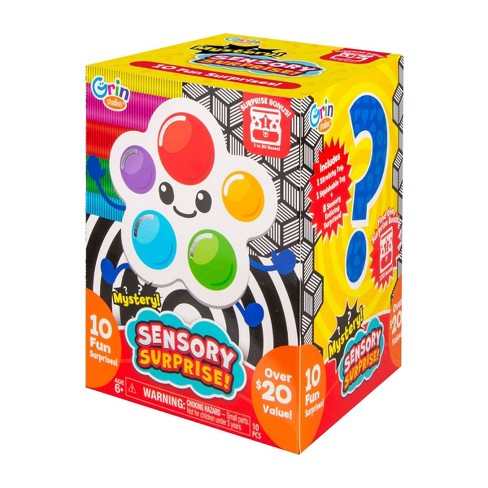 GS SENSORY MYSTERY TOY BOX