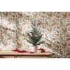 Pine Tree in Plastic Pot (Set of 2) - 3 of 3