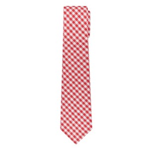 Jacob Alexander Boys’ Gingham Check Necktie – Prep Length - 1 of 4