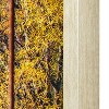 Yosemite Home Decor "Woodlands Glass/Wood Photographic Art in Multi-Color - 3 of 4