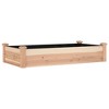 vidaXL Garden Raised Bed with Liner 47.2"x23.6"x9.8" Solid Wood Fir - 2 of 4