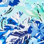blue stripe palm