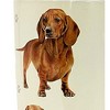 E & S Imports 7.0 Inch Dachshund Red Serengeti Tumbler Hot Of Cold Beverages Tumblers - 3 of 3