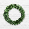 Storied Home Preserved Genuine Boxwood Wreath Green - 2 of 4