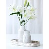 Small White Austin Vase - Shiraleah - image 3 of 4