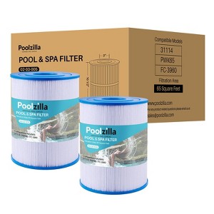 Poolzilla Replacement Spa Filter for Watkins 31114, Unicel C-8465, Pleatco PWK65, Filbur FC-3960, 71827, 71828, Tiger River Caspian - 1 of 1