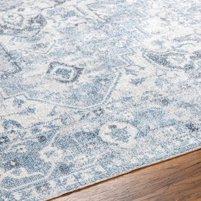 Hauteloom Ankti Blue Washable Area Rug