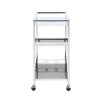 Chintaly Contemporary Stainless Steel Tea Cart - 3 of 4