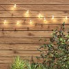 20ct Incandescent Outdoor String Lights G40 Clear Bulbs - Room Essentials™ - image 2 of 4