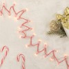 Northlight 50-Count Clear Mini Christmas Light Set - 10' Pink Wire - image 3 of 4