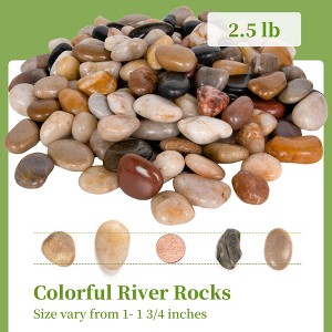 2.5 lb Polished River Stones - Ideal for Indoor/Outdoor Planters, Garden Landscaping, Vases & Aquariums - 1 of 4