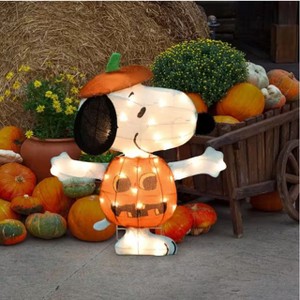 24 Inch Snoopy Jack-O-Lantern Halloween Yard Decoration : Target