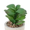 Unique Bargains Artificial Plants Plastic Green 2.76"x2.76"x3.54" 1 Pcs - 4 of 4