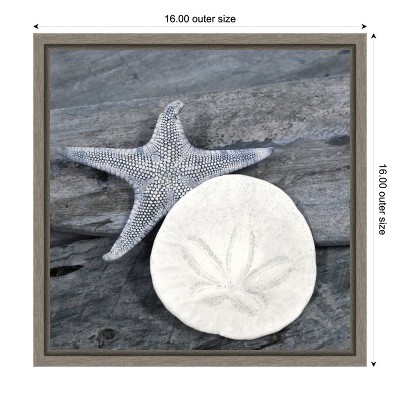 Nautical Shell Still Life Canvas Art in Blue-Gray Frame