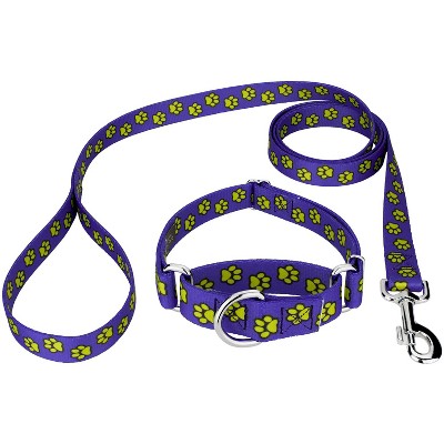 Small Pet Collar & Leash Set