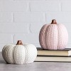 Transpac Dolomite Pastel Knit Pumpkin Decor Set of 2 Resin Sculptures for Fall Halloween Indoor Tabletop Decoration - 2 of 2