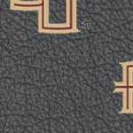 florida state seminoles