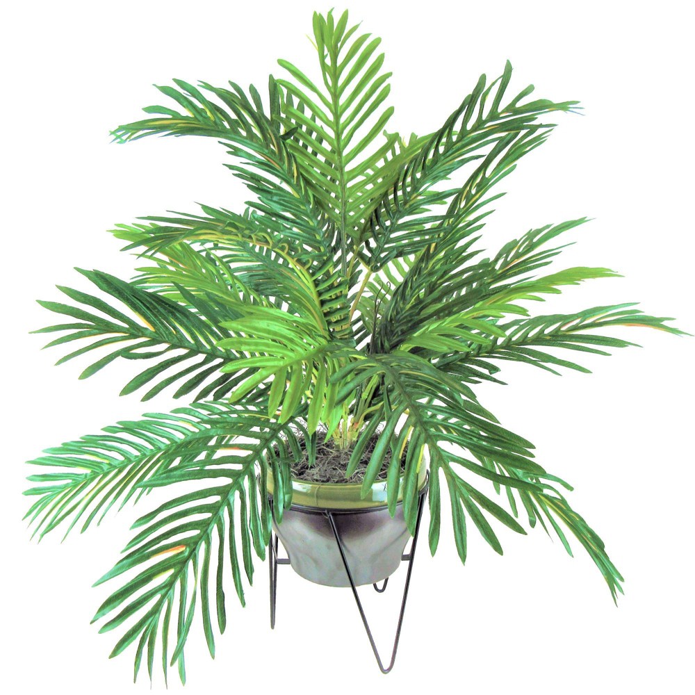 Photos - Other Decoration 24" x 22" Artificial Phoenix Palm in Ceramic Pot with Stand - LCG Florals