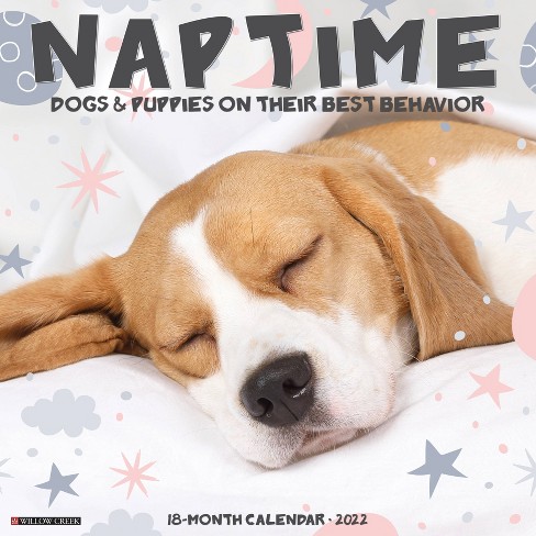 2022 Puppy Calendar 2022 Wall Calendar Naptime (Dogs) - Willow Creek Press : Target