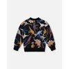 Deux par Deux Boy Pullover Fleece Sweatshirt Black Dinosaur Print - 4 of 4